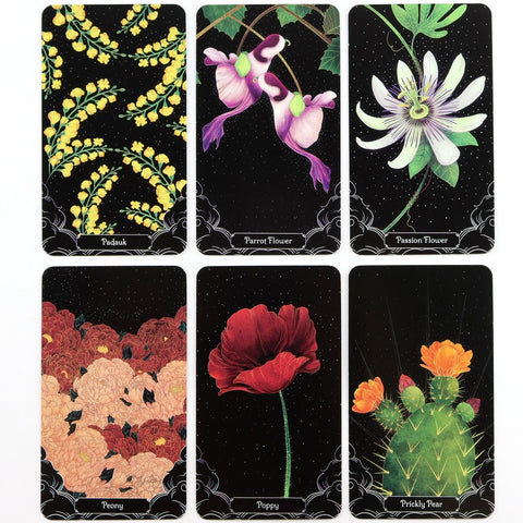 A Little Rain Botanical Oracle【神谕】 Cards for Beginners