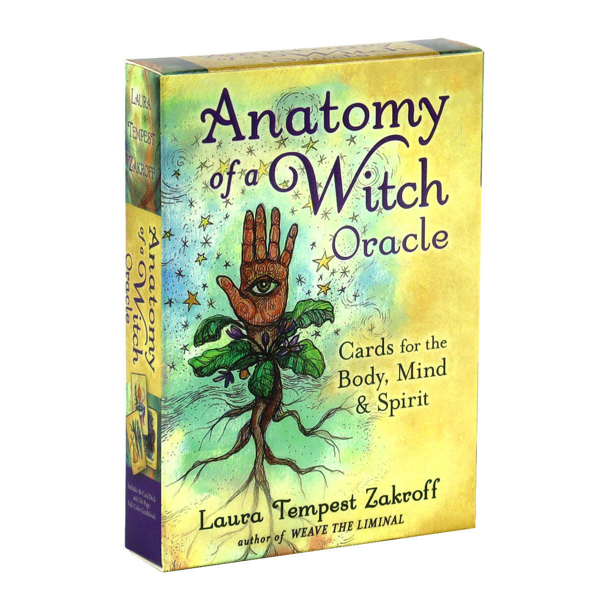 Anatomy of a Witch Oracle Cards for Beginners