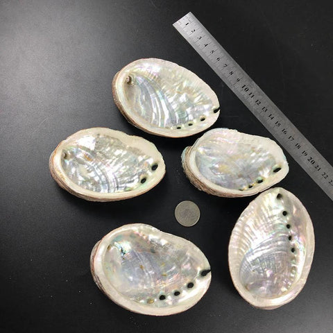 Natural Abalone Shell and Sage Smudge Bowl - Jewelry Holder and Decorative Piece
